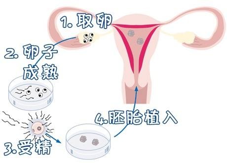 关于木棉医疗中心